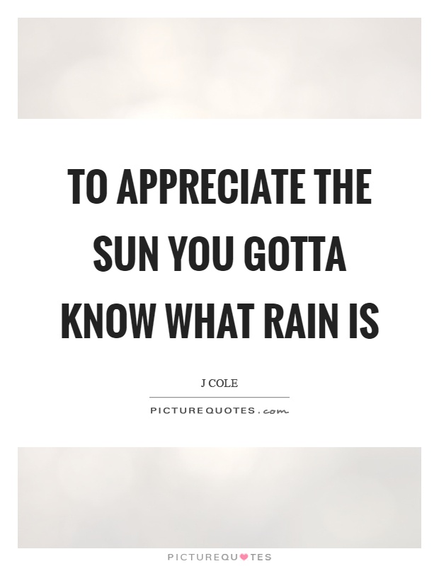 To appreciate the sun you gotta know what rain is Picture Quote #1