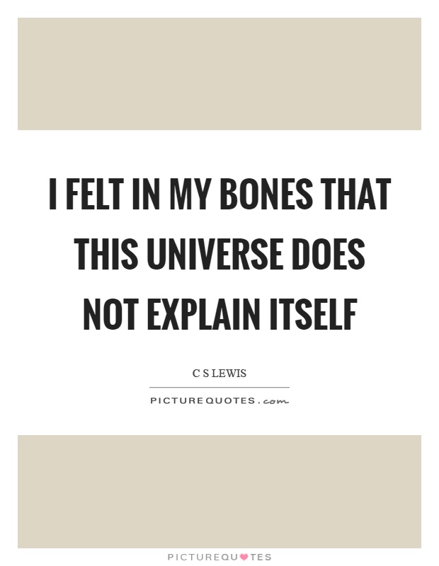 I felt in my bones that this universe does not explain itself Picture Quote #1