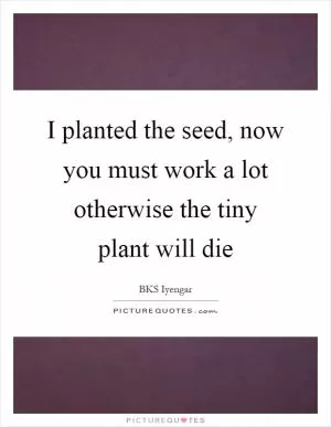 I planted the seed, now you must work a lot otherwise the tiny plant will die Picture Quote #1