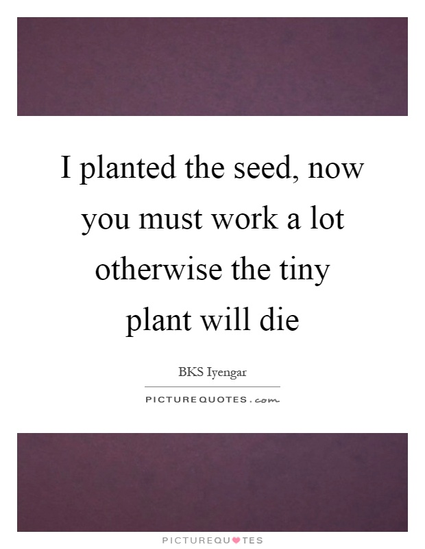 I planted the seed, now you must work a lot otherwise the tiny plant will die Picture Quote #1