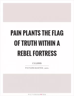 Pain plants the flag of truth within a rebel fortress Picture Quote #1