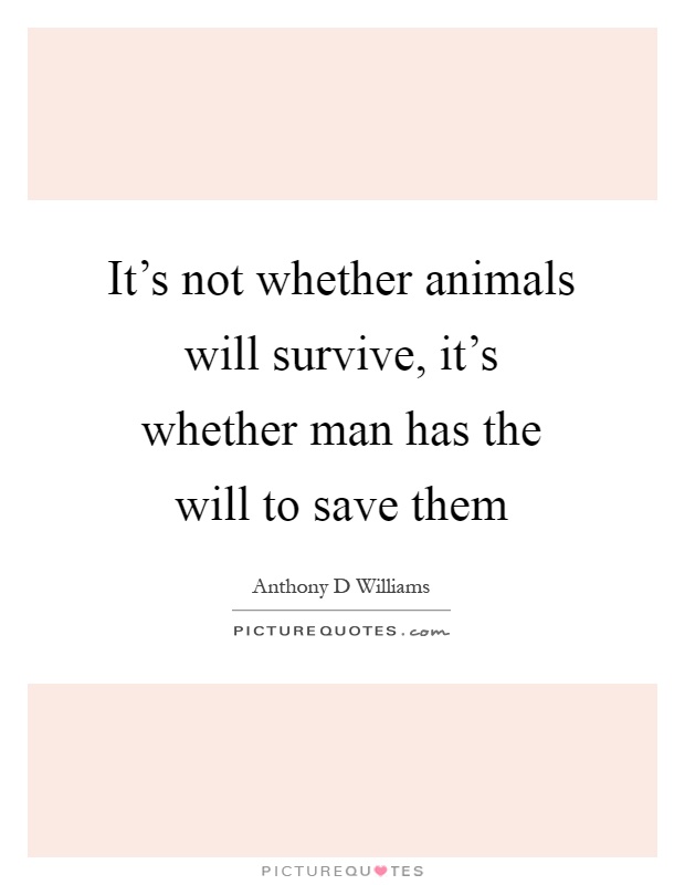 It's not whether animals will survive, it's whether man has the will to save them Picture Quote #1