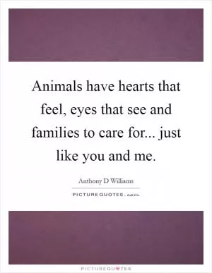 Animals have hearts that feel, eyes that see and families to care for... just like you and me Picture Quote #1