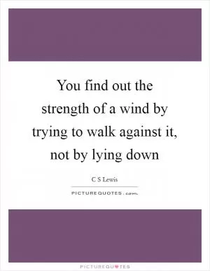 You find out the strength of a wind by trying to walk against it, not by lying down Picture Quote #1