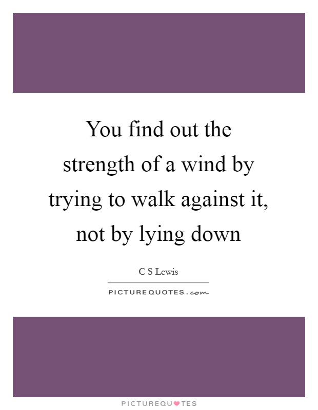 You find out the strength of a wind by trying to walk against it, not by lying down Picture Quote #1