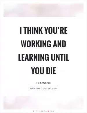 I think you’re working and learning until you die Picture Quote #1
