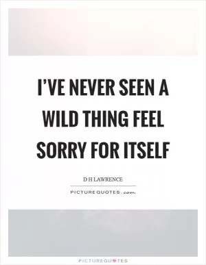 I’ve never seen a wild thing feel sorry for itself Picture Quote #1