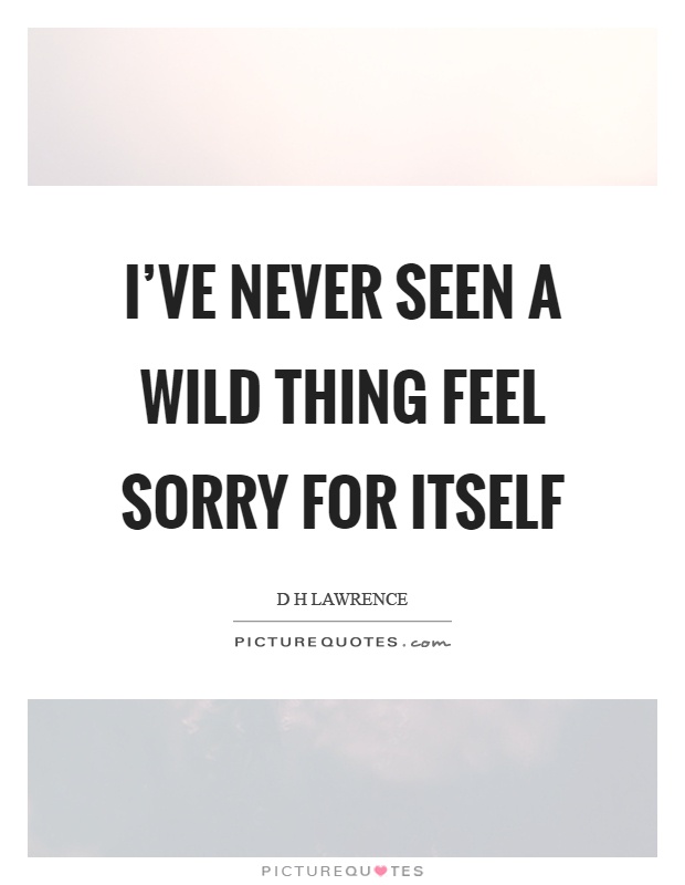 I've never seen a wild thing feel sorry for itself Picture Quote #1