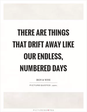 There are things that drift away like our endless, numbered days Picture Quote #1