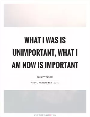 What I was is unimportant, what I am now is important Picture Quote #1