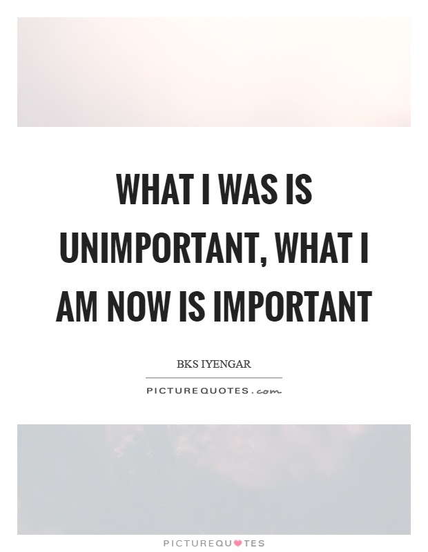 What I was is unimportant, what I am now is important Picture Quote #1