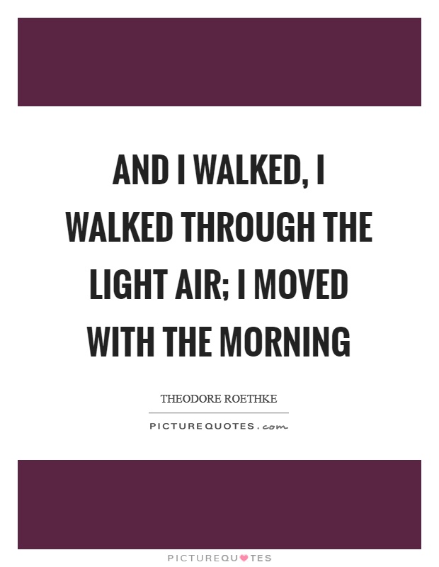 And I walked, I walked through the light air; I moved with the morning Picture Quote #1