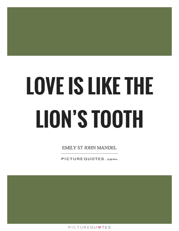 Love is like the lion's tooth Picture Quote #1