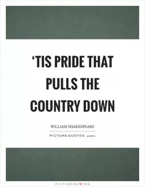 ‘Tis pride that pulls the country down Picture Quote #1