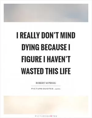 I really don’t mind dying because I figure I haven’t wasted this life Picture Quote #1