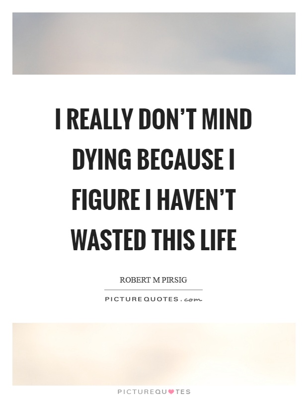 I really don't mind dying because I figure I haven't wasted this life Picture Quote #1
