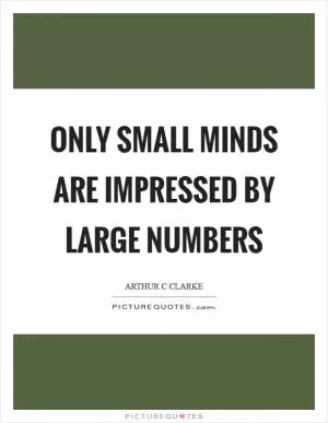 Only small minds are impressed by large numbers Picture Quote #1