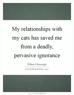 My relationships with my cats has saved me from a deadly, pervasive ignorance Picture Quote #1