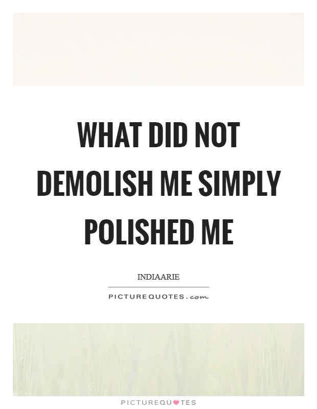 What did not demolish me simply polished me Picture Quote #1