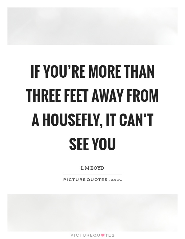 If you're more than three feet away from a housefly, it can't see you Picture Quote #1