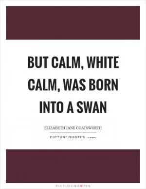 But calm, white calm, was born into a swan Picture Quote #1