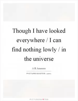 Though I have looked everywhere / I can find nothing lowly / in the universe Picture Quote #1