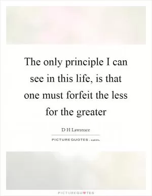 The only principle I can see in this life, is that one must forfeit the less for the greater Picture Quote #1