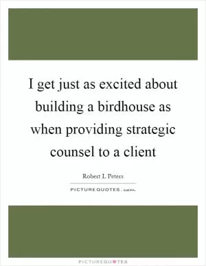 I get just as excited about building a birdhouse as when providing strategic counsel to a client Picture Quote #1