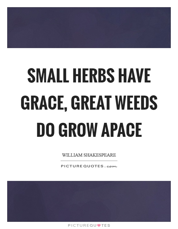 Small herbs have grace, great weeds do grow apace Picture Quote #1