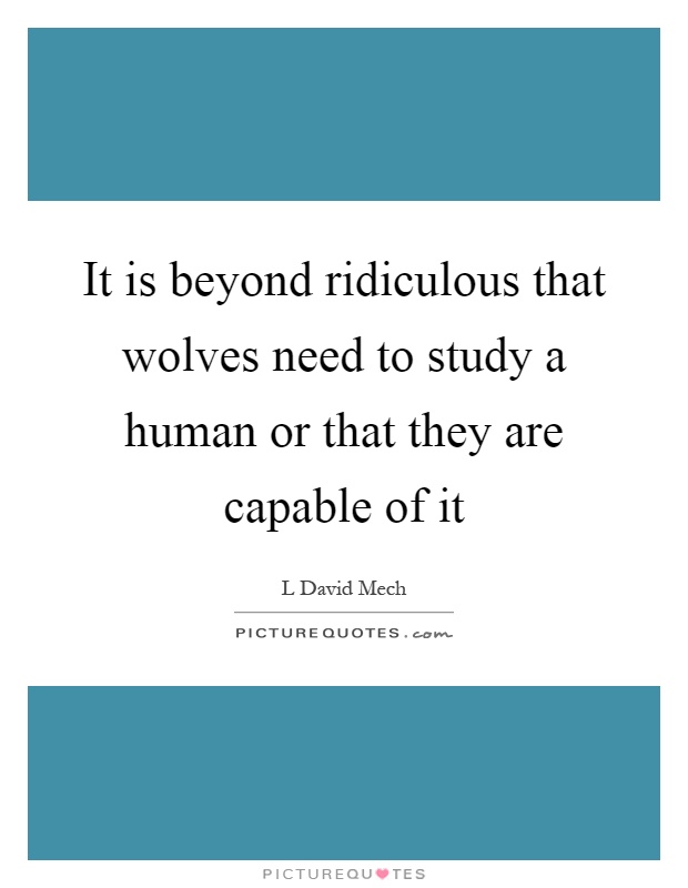 It is beyond ridiculous that wolves need to study a human or that they are capable of it Picture Quote #1