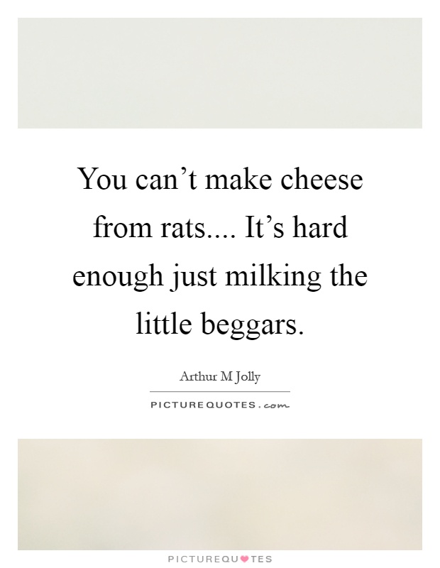 You can't make cheese from rats.... It's hard enough just milking the little beggars Picture Quote #1