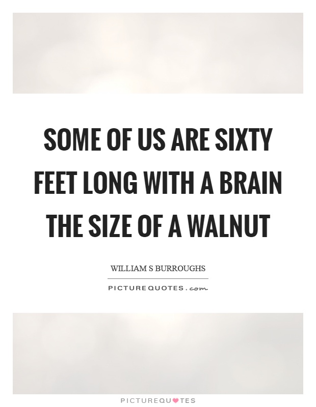 Some of us are sixty feet long with a brain the size of a walnut Picture Quote #1