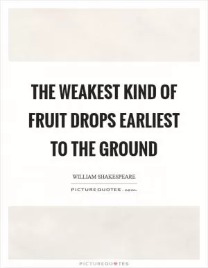 The weakest kind of fruit drops earliest to the ground Picture Quote #1