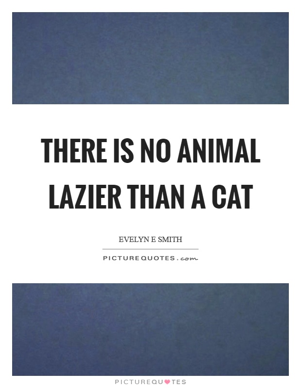 There is no animal lazier than a cat Picture Quote #1