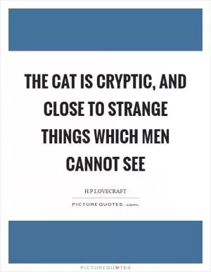 The cat is cryptic, and close to strange things which men cannot see Picture Quote #1