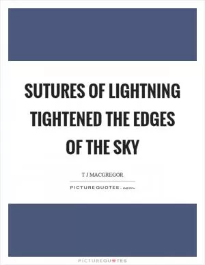 Sutures of lightning tightened the edges of the sky Picture Quote #1