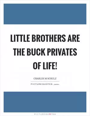 Little brothers are the buck privates of life! Picture Quote #1