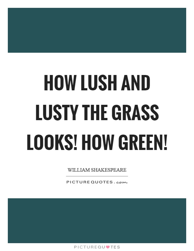 How lush and lusty the grass looks! how green! Picture Quote #1