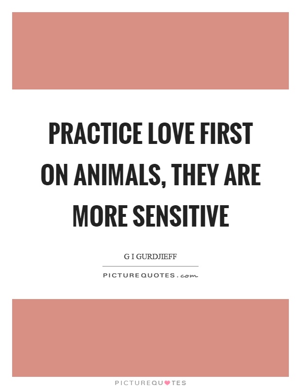 Practice love first on animals, they are more sensitive Picture Quote #1