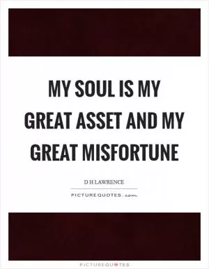 My soul is my great asset and my great misfortune Picture Quote #1