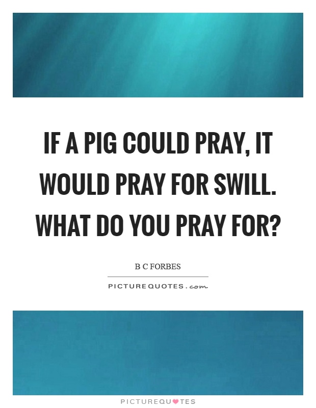 If a pig could pray, it would pray for swill. What do you pray for? Picture Quote #1