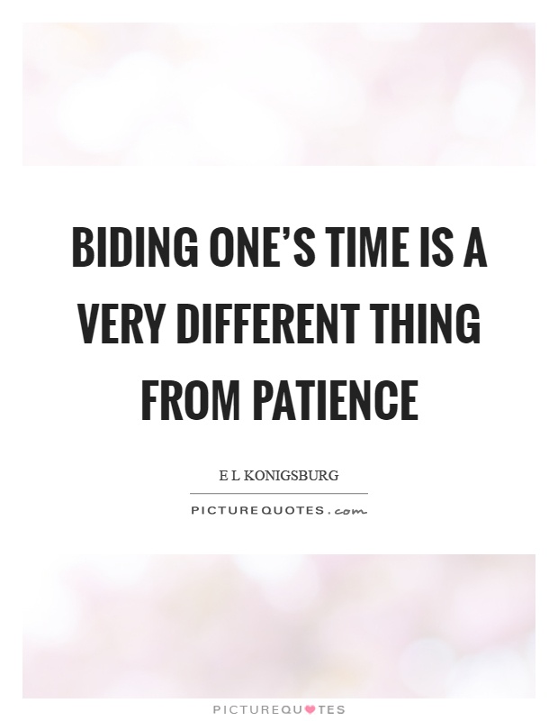 Biding one's time is a very different thing from patience Picture Quote #1