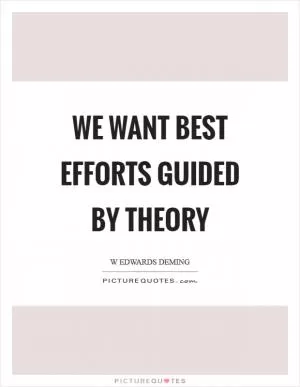 We want best efforts guided by theory Picture Quote #1