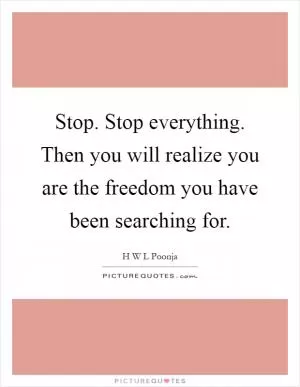 Stop. Stop everything. Then you will realize you are the freedom you have been searching for Picture Quote #1