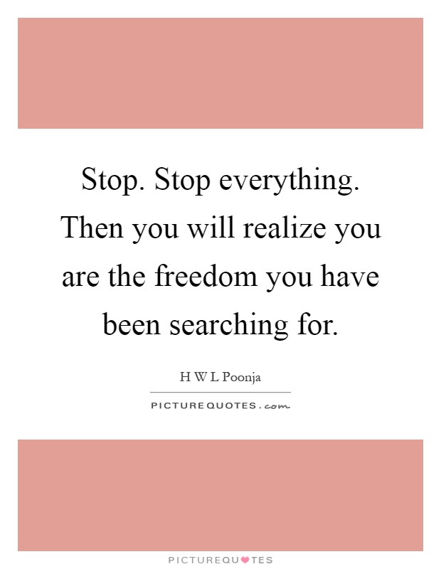 Stop. Stop everything. Then you will realize you are the freedom you have been searching for Picture Quote #1