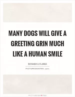 Many dogs will give a greeting grin much like a human smile Picture Quote #1