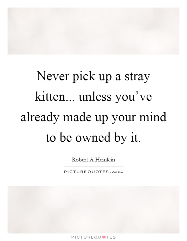 Never pick up a stray kitten... unless you've already made up your mind to be owned by it Picture Quote #1