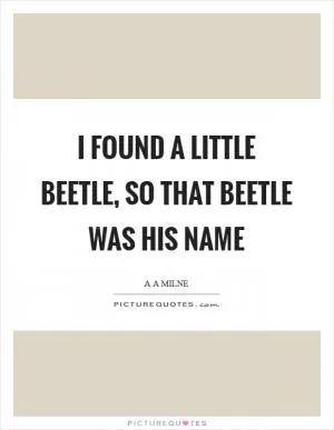 I found a little beetle, so that beetle was his name Picture Quote #1