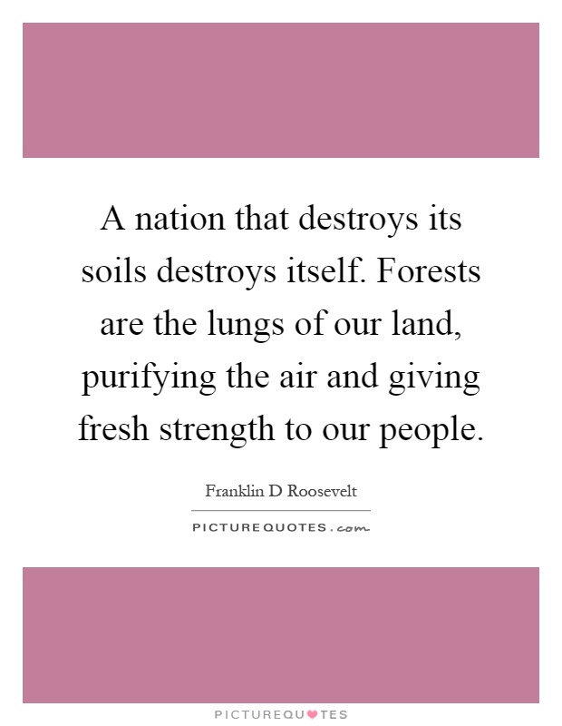 A nation that destroys its soils destroys itself. Forests are the lungs of our land, purifying the air and giving fresh strength to our people Picture Quote #1