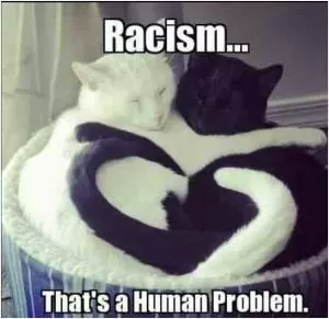 Racism... that’s a human problem Picture Quote #1